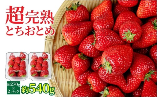 【おすすめ返礼品】矢野農園の完熟とちおとめ