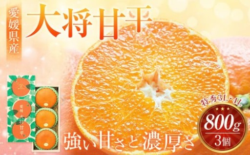 【先行予約】 愛媛県産 大将甘平 特秀3L・4Lサイズ800g（3個）