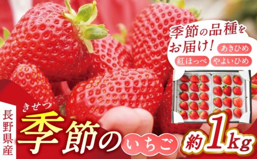 季節のいちご（あきひめ・紅ほっぺ・やよいひめ）