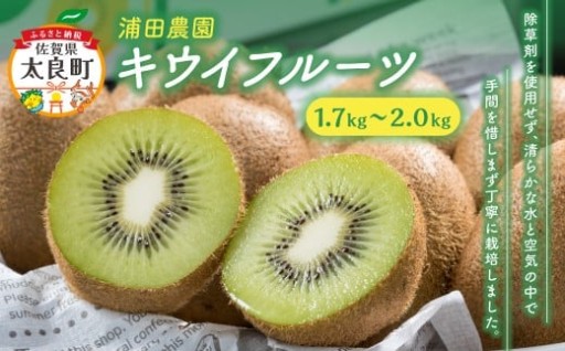 体が喜ぶ☆キウイフルーツ 10～16個