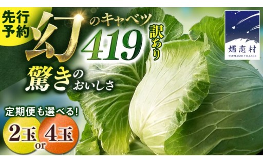 ＼先行予約受付開始／羽生田売店 まぼろしの419キャベツ