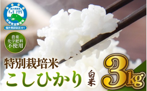 【期間限定】農薬も化学肥料も不使用！安心安全✨