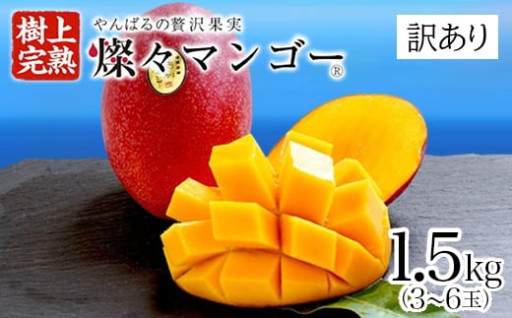 2026年発送分、公開！