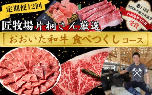 ＜12か月定期便＞おおいた和牛食べつくしコース