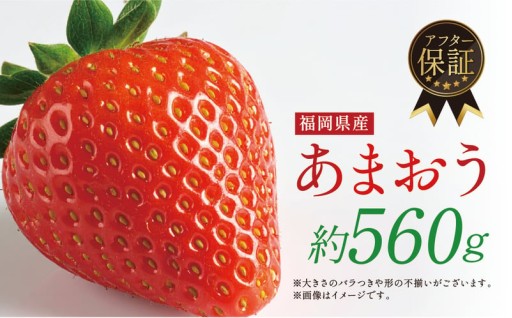 ＜2026年1月上旬より順次発送予定＞福岡県産 あまおう (計約560g・約280g×2P)