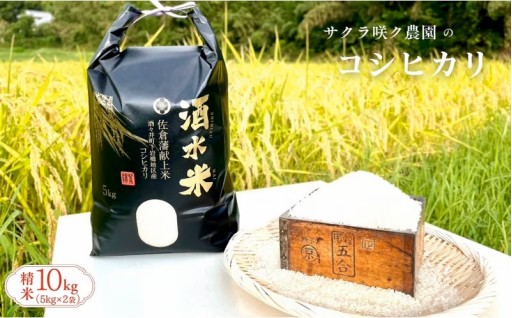 千葉県産 酒々井町の美味しいコシヒカリ