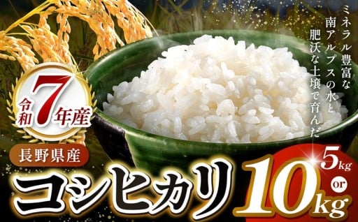 令和７年度 伊那市田原産米 コシヒカリ 選べる