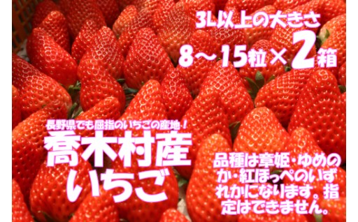 お待たせしました！喬木村のいちご始まりました🍓