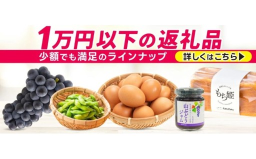 💜一万円以下のおすすめ返礼品💜お肉やスイーツも