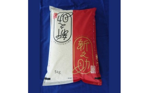 【令和7年産米】新潟県村上市 新之助5kg