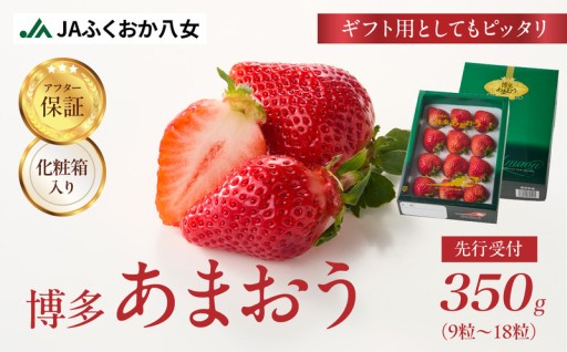 先行受付【2025年12月発送開始】博多あまおう350g（化粧箱）｜JAふくおか八女