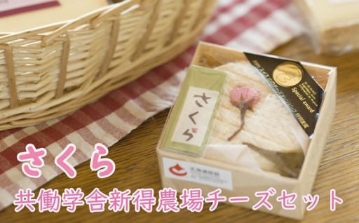 【予約受付中！】春の桜香る～さくらのセット～