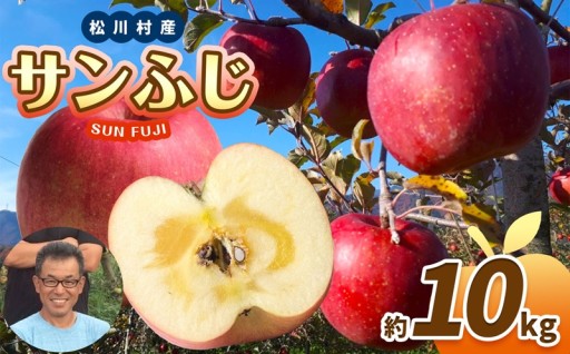 家庭用 サンふじ（秀） 約10kg｜ 北條農園