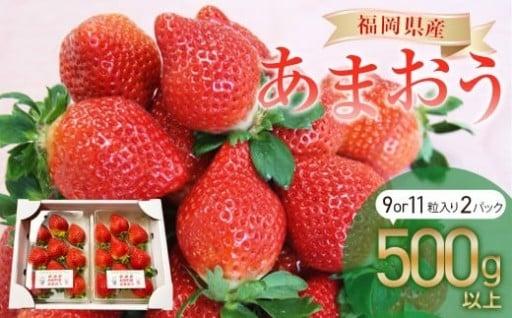 福岡県産 あまおう 2パック（合計500g以上）