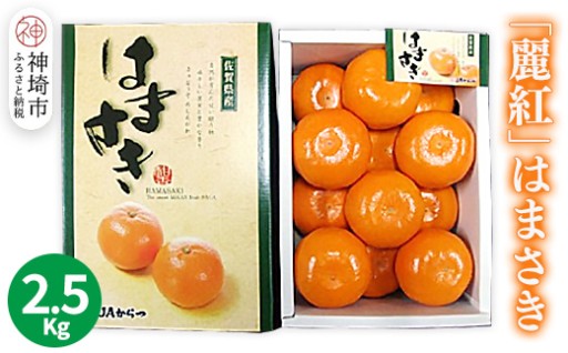気品豊かな一級品「麗紅 はまさき」2.5kg🍊