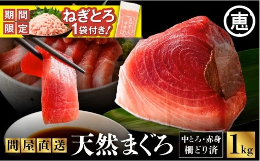 ★12月31日までの特別企画★【ねぎとろ付き】天然メバチまぐろ1kg　中トロ赤身お届け🚚