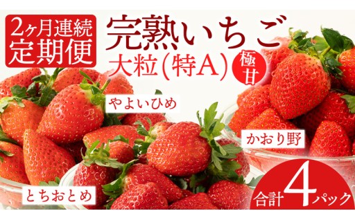 茨城育ちの完熟いちごを定期便でお届け🍓