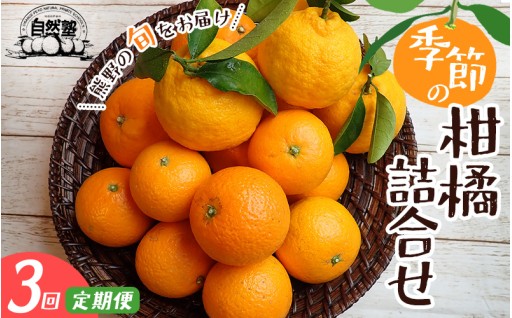 【定期便】自然塾の季節の柑橘詰合せ 3回定期便