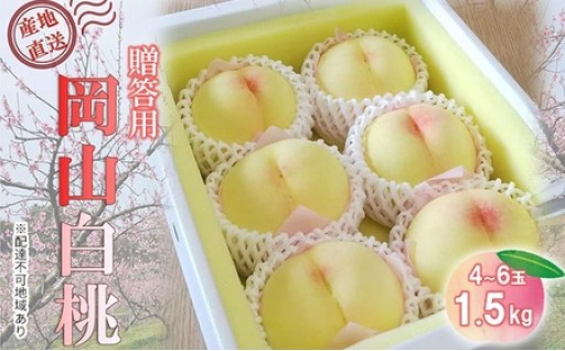 【桃 2026年 先行予約】贈答用 岡山白桃 約1.5kg(4～6玉) もも モモ 岡山県 国産 フルーツ 果物