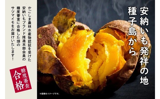 南種子の大地で育った【ねっとりあま～い安納いも】