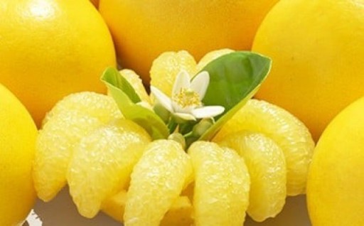 熟成の土佐ぶんたん 5kg（L～4L・ご家庭用）