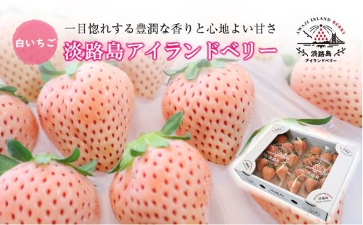 淡路島アイランドベリー 白苺淡雪 2パック入