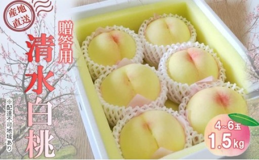 【桃 2026年 先行予約】贈答用 清水白桃 約1.5kg(4～6玉) 
