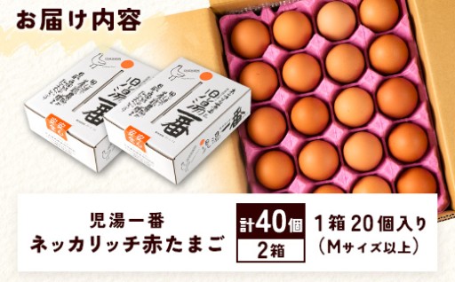 🚩生活応援🚩卵40個12ヶ月定期便🥚
