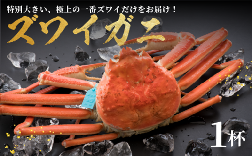 味覚の王様【加能ガニ】極上の一番ズワイをお届け！！