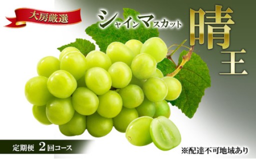 【2026年先行予約】晴れの国 大房厳選 シャインマスカット 晴王 夏秋 定期便 2回 コース