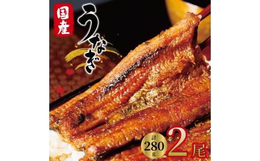 国産　うなぎ　2尾　真空パック