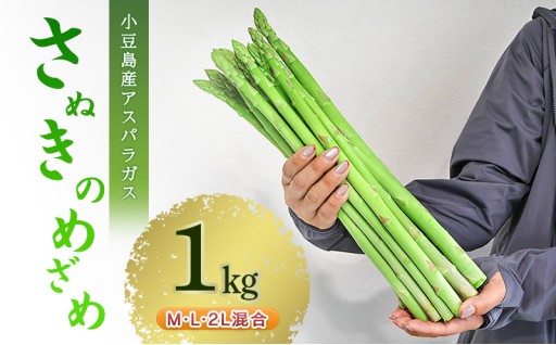 小豆島産アスパラガス 「さぬきのめざめ」 1kg