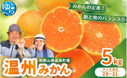 甘～い由良町産 温州みかん！