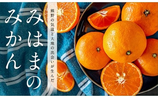 ＼明けましておめでとうございます／ 今年の冬は是非御浜のみかんを🍊！