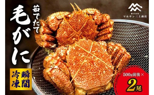 【北海道札幌市】茹でたて毛がに(瞬間冷凍）500ｇ前後×2尾🦀🦀