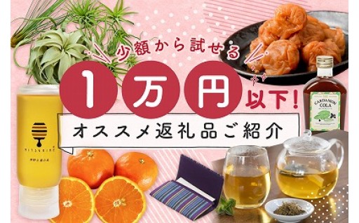 ＼【あと1日！】ご寄附はもうお済みですか？／ 御浜町1万円以下返礼品をご紹介！