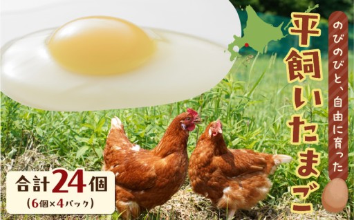 新登場✨のびのびと自由に育った🥚平飼いたまご🥚