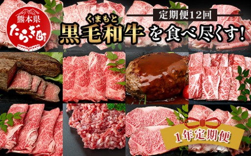 くまもと黒毛和牛を味わい尽くす【1年12回配送定期便】