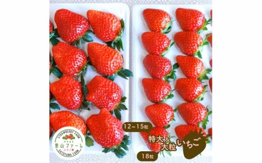 やちまた里山ファームの大粒いちごをお届けします