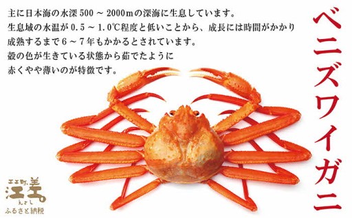 紅ずわいがにポーション（脚むき身）🦀