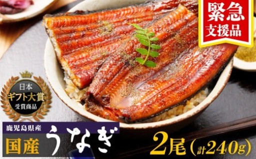 サイズが小さいウナギが在庫過多となっています！