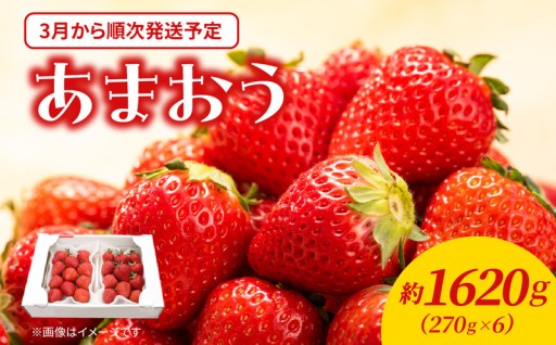 【2026年3月配送開始】福岡・博多名物ブランドいちご「あまおう」 6パック 合計約1,620g 