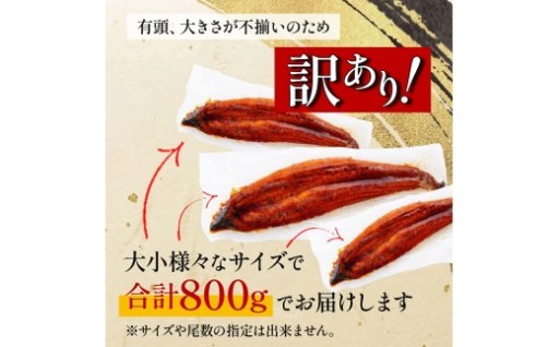 規格外品うなぎ！　有頭・大きさ様々だけど…