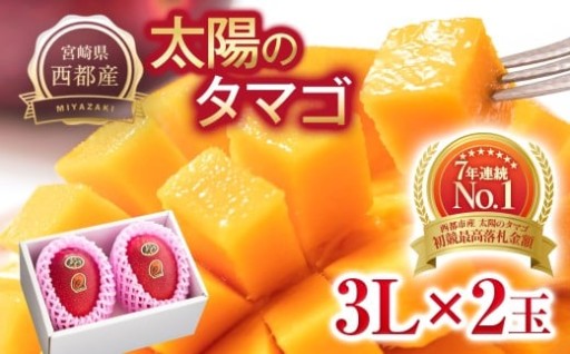 最高級ブランド『太陽のタマゴ』大玉 3L×2個