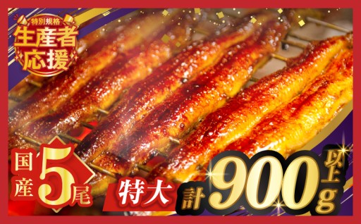 【宮崎県都農町】都農町自慢の返礼品🎁『うなぎ蒲焼特大5尾』✨