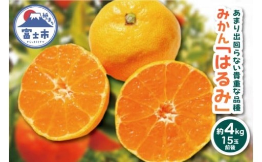 期間限定 《数量限定》 みかん はるみ 約4kg [sf001-005]