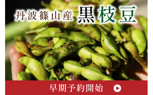 丹波篠山「黒枝豆」の早期予約開始いたしました！