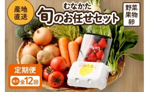 【毎月お届け】むなかた旬のお任せセット（野菜・フルーツ・卵） 9～11品