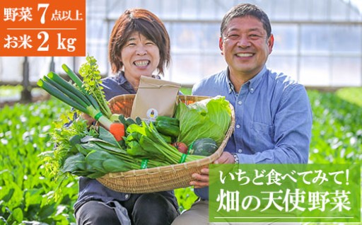 単品 いちど食べてみて 畑の天使野菜 米2kg