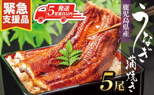 【年明け発送します】緊急支援品うなぎ長蒲焼5尾